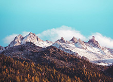 运气加成天津获第13冠 双星闪耀朱婷全面发挥建功